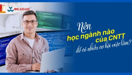 NÊN HỌC NGÀNH NÀO CỦA CNTT ĐỂ CÓ NHIỀU CƠ HỘI VIỆC LÀM ?