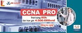 CCNA Pro- Khóa học dành cho người bận rộn 