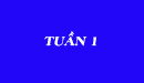 Tuần 1 - Kết quả Học Bổng Trạng Nguyên BKACAD 2016